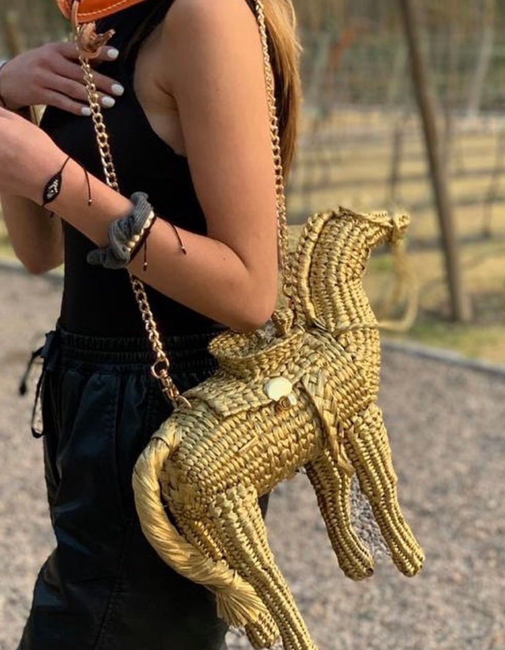 Handwoven Horse Bag - Limited Edition