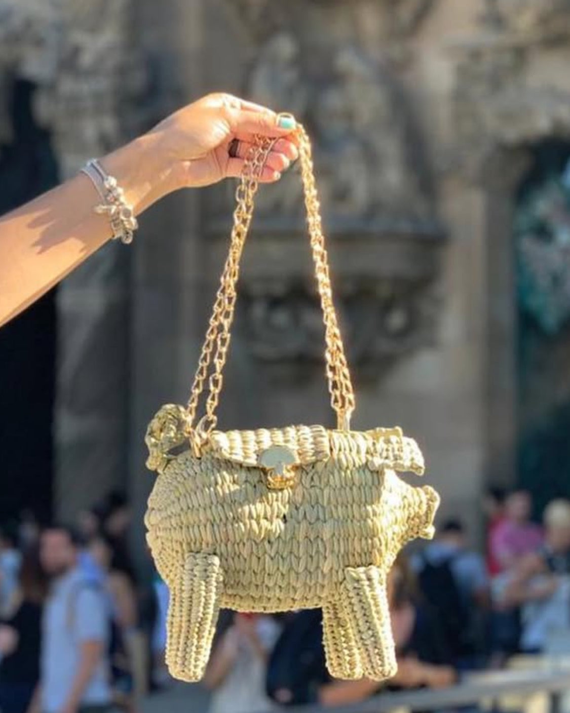 Handwoven Piggy Bag - Limited Edition