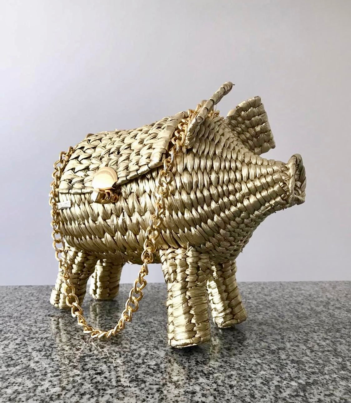 Handwoven Piggy Bag - Limited Edition